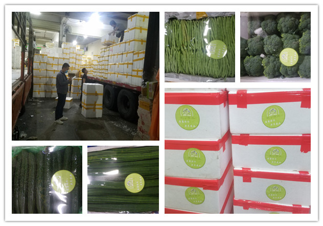 bti体育平台·(中国)官方网站