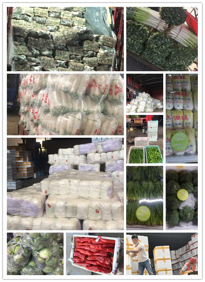 bti体育平台·(中国)官方网站