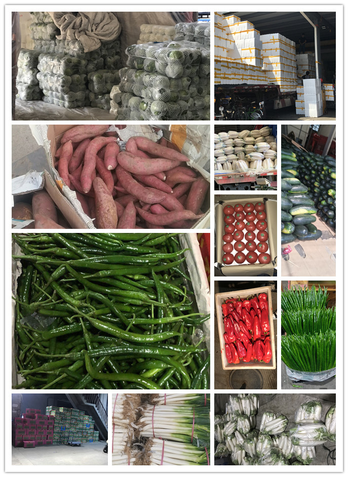 bti体育平台·(中国)官方网站