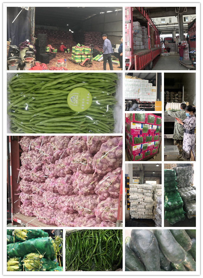 bti体育平台·(中国)官方网站