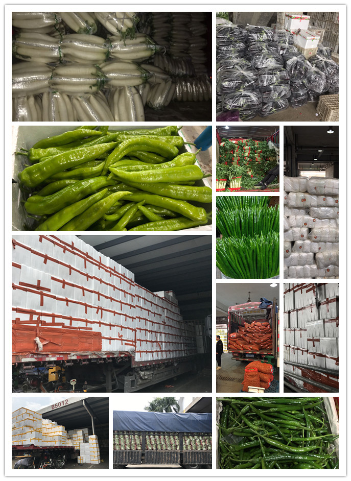 bti体育平台·(中国)官方网站