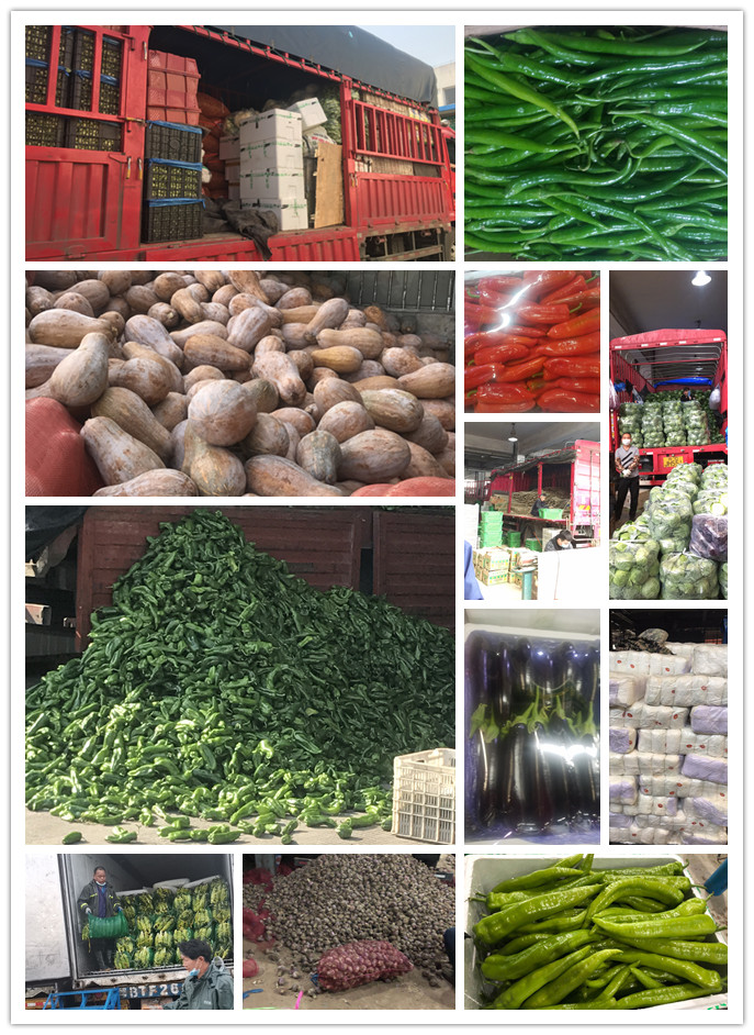 bti体育平台·(中国)官方网站