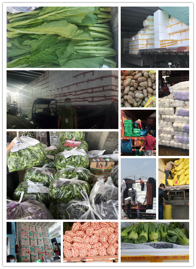 bti体育平台·(中国)官方网站