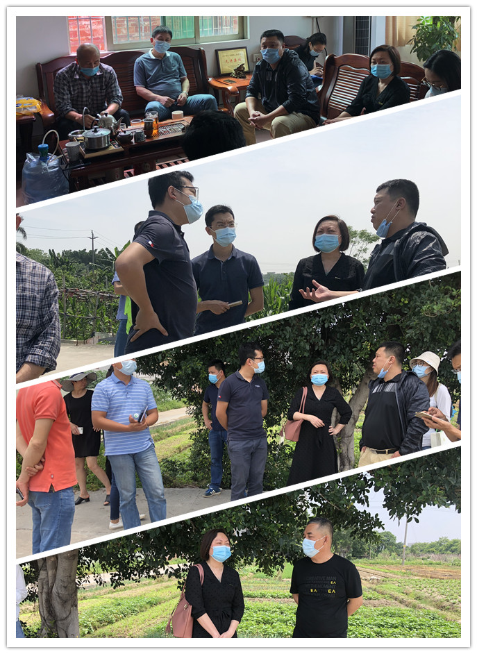 bti体育平台·(中国)官方网站