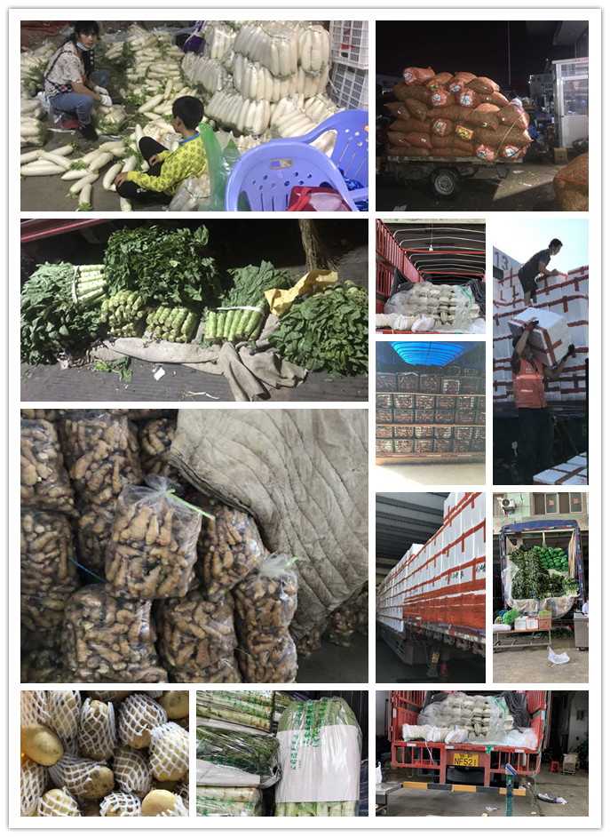 bti体育平台·(中国)官方网站