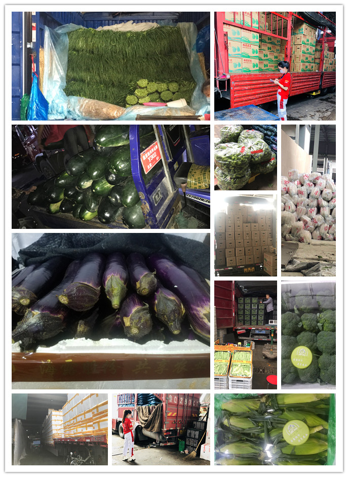 bti体育平台·(中国)官方网站