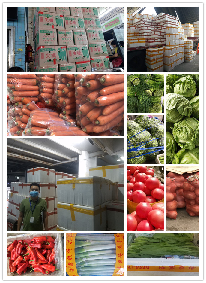 bti体育平台·(中国)官方网站