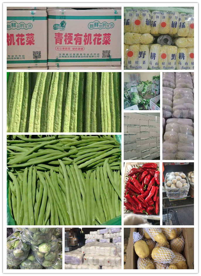 bti体育平台·(中国)官方网站