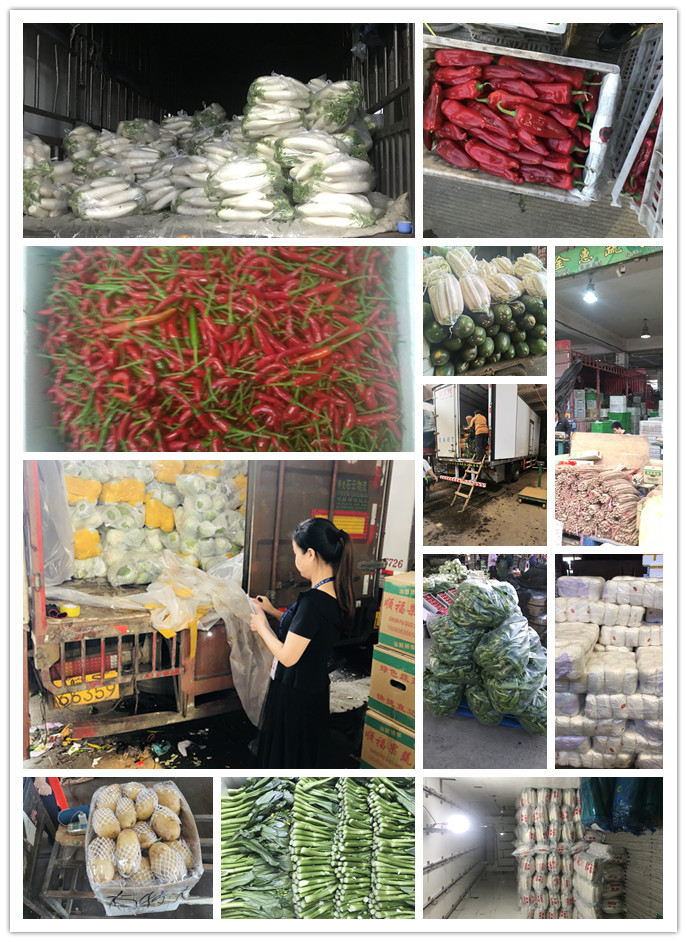 bti体育平台·(中国)官方网站