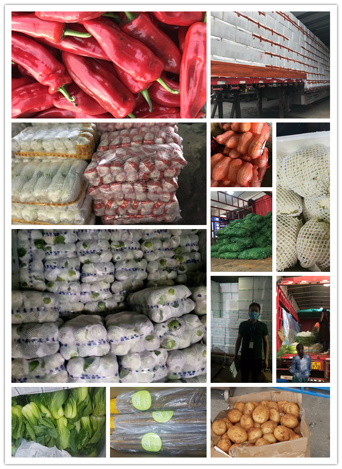 bti体育平台·(中国)官方网站