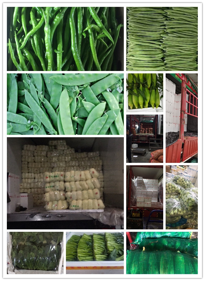 bti体育平台·(中国)官方网站