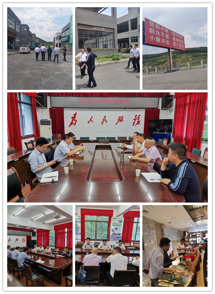 bti体育平台·(中国)官方网站