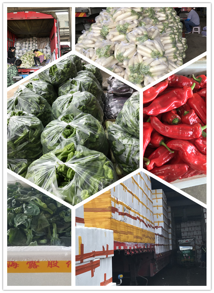 bti体育平台·(中国)官方网站