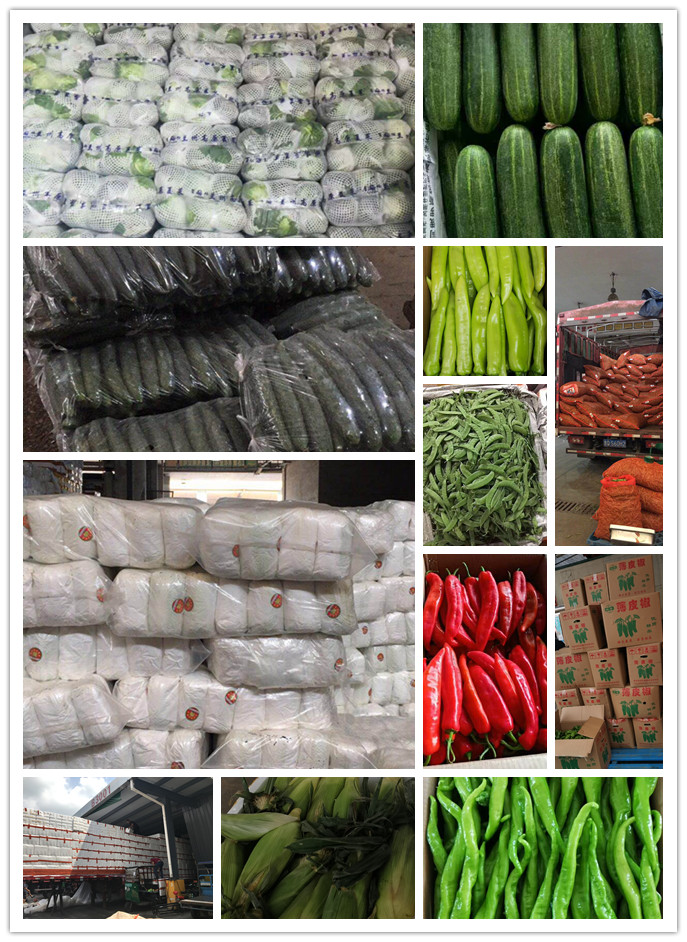 bti体育平台·(中国)官方网站