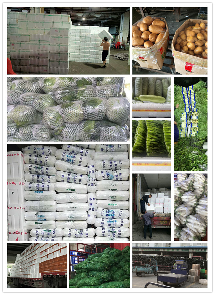 bti体育平台·(中国)官方网站