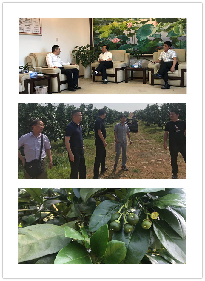 bti体育平台·(中国)官方网站