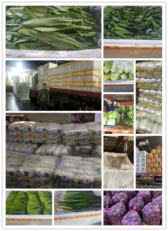 bti体育平台·(中国)官方网站