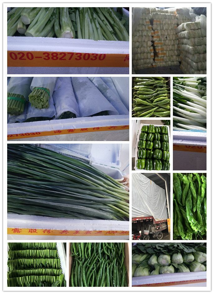 bti体育平台·(中国)官方网站