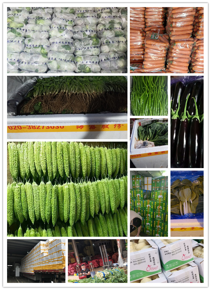 bti体育平台·(中国)官方网站