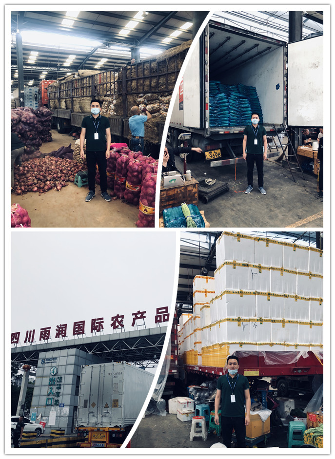 bti体育平台·(中国)官方网站