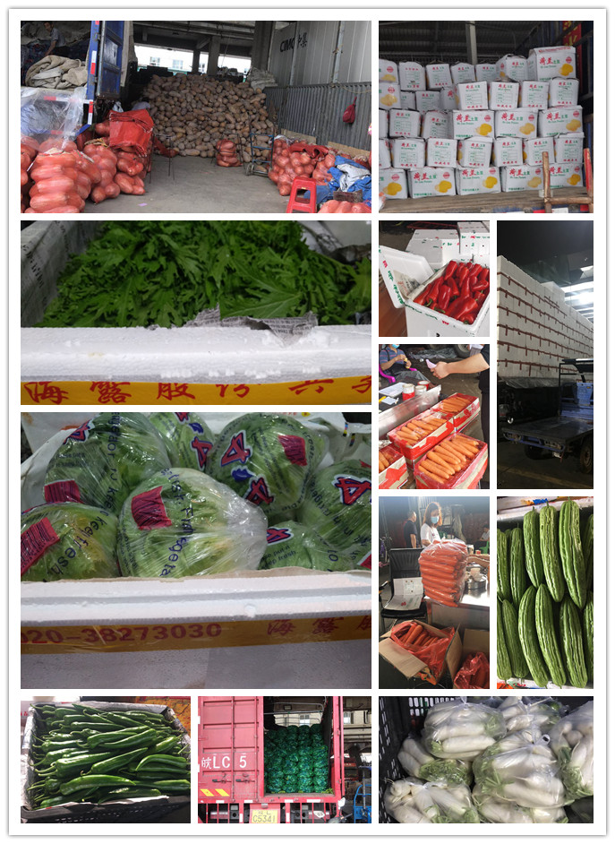 bti体育平台·(中国)官方网站