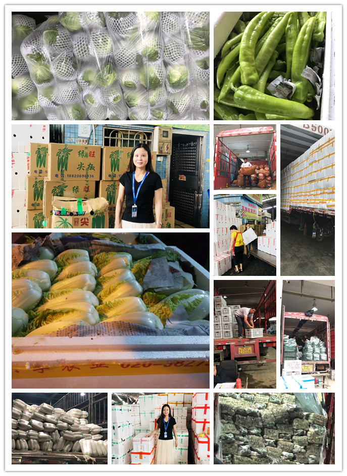 bti体育平台·(中国)官方网站