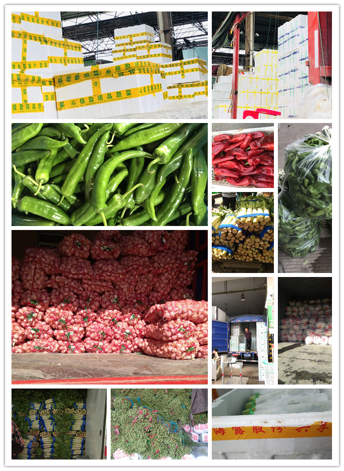 bti体育平台·(中国)官方网站