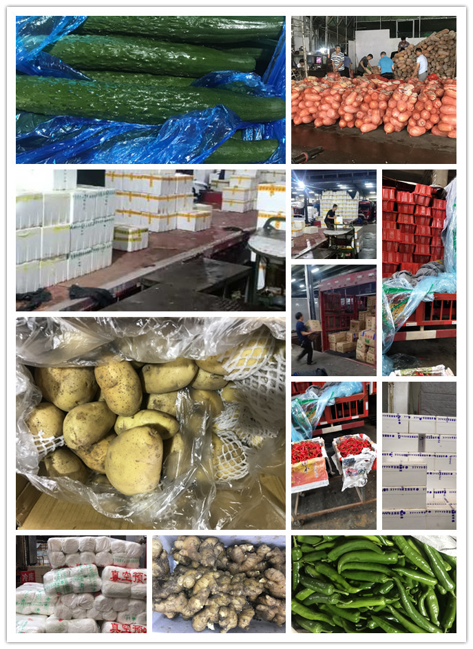 bti体育平台·(中国)官方网站