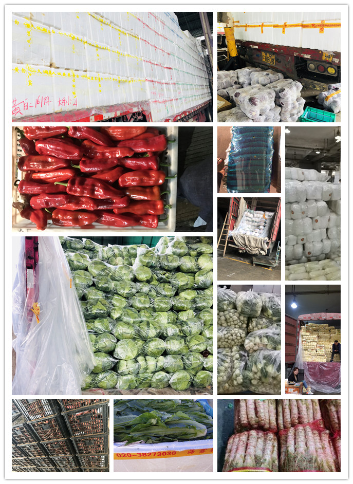 bti体育平台·(中国)官方网站