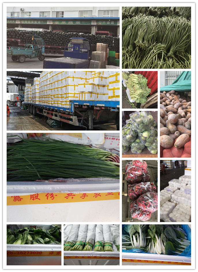 bti体育平台·(中国)官方网站