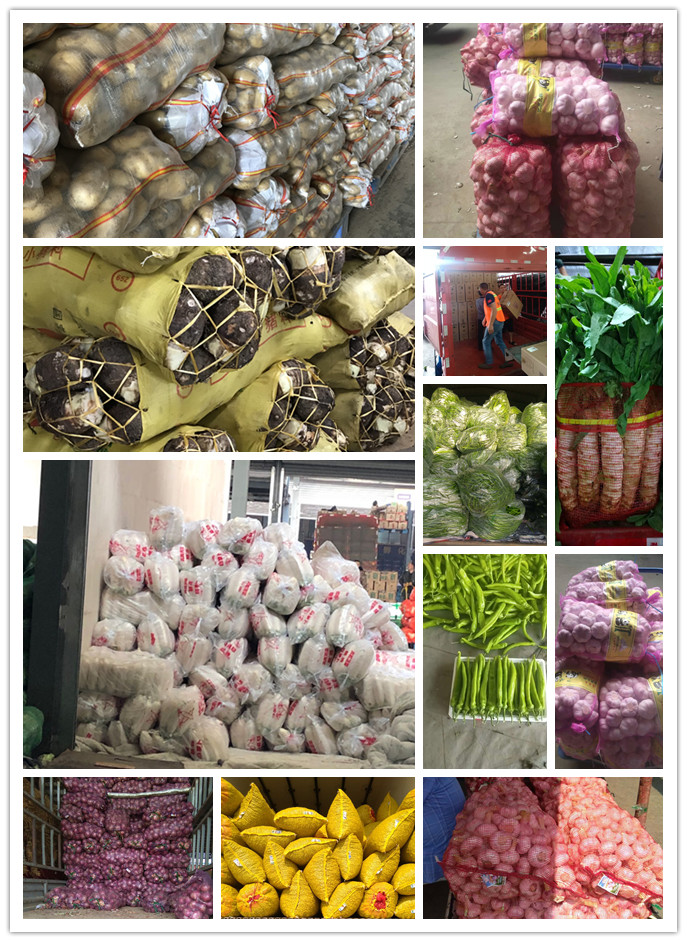 bti体育平台·(中国)官方网站