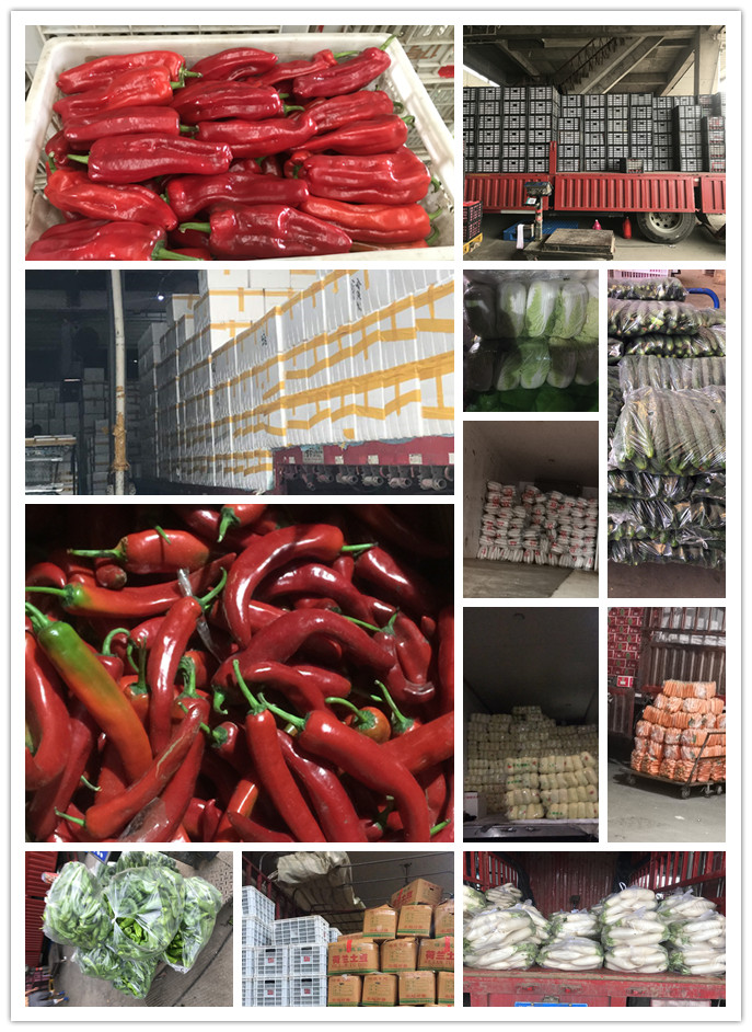 bti体育平台·(中国)官方网站