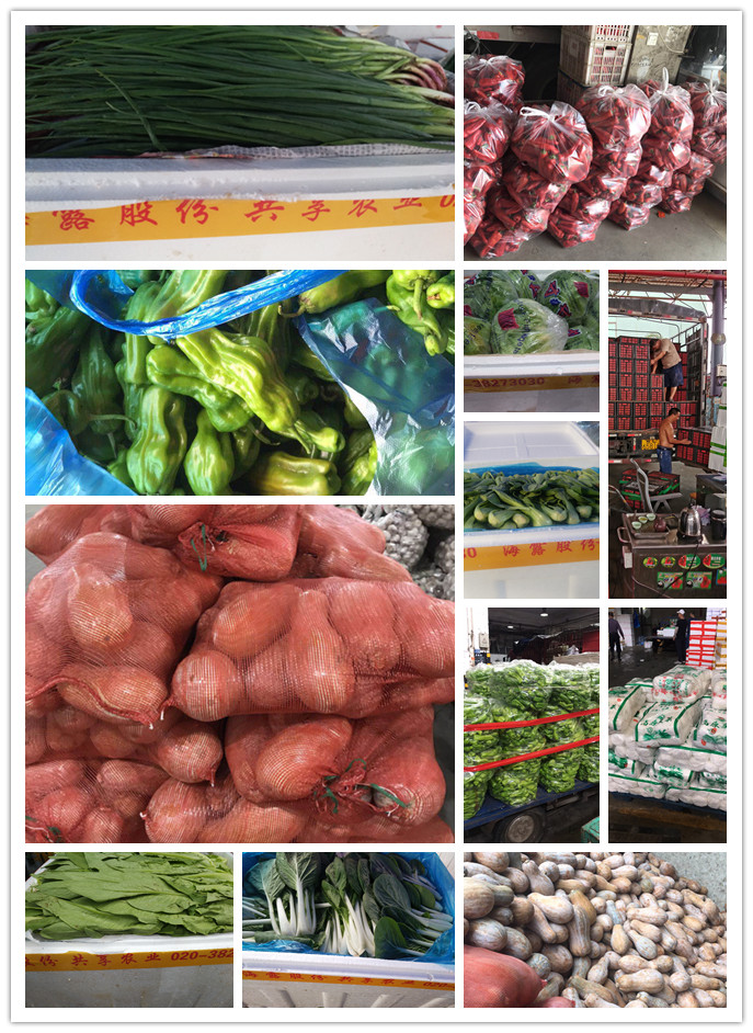 bti体育平台·(中国)官方网站