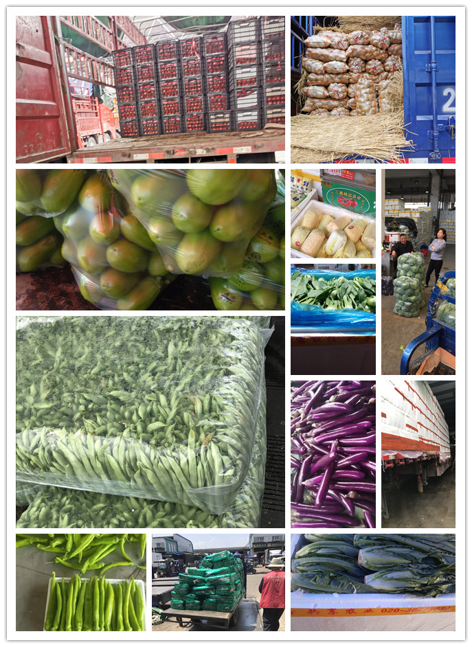 bti体育平台·(中国)官方网站