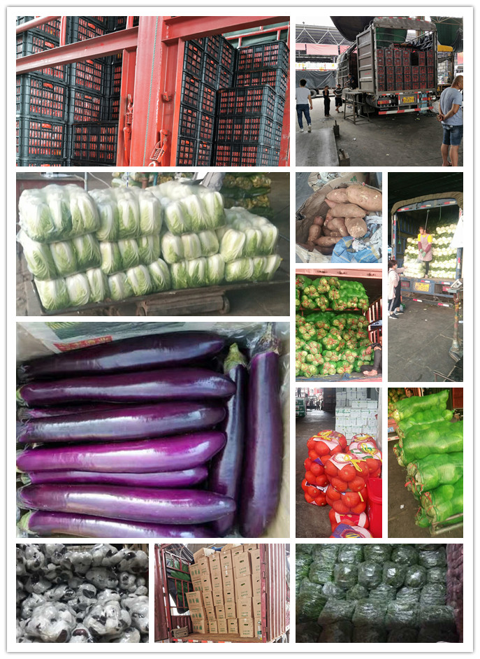 bti体育平台·(中国)官方网站