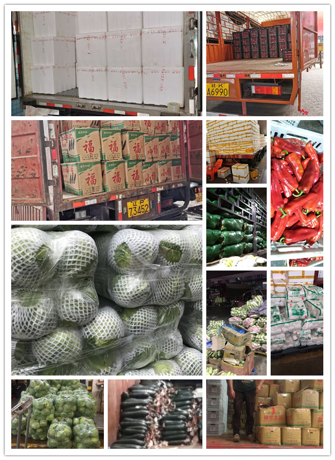 bti体育平台·(中国)官方网站