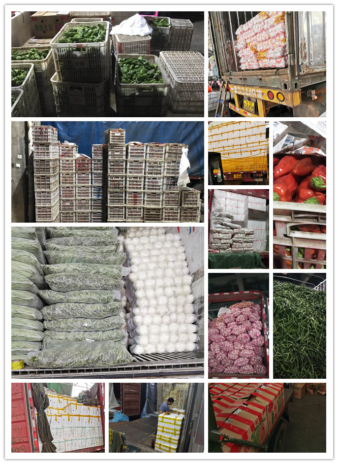 bti体育平台·(中国)官方网站