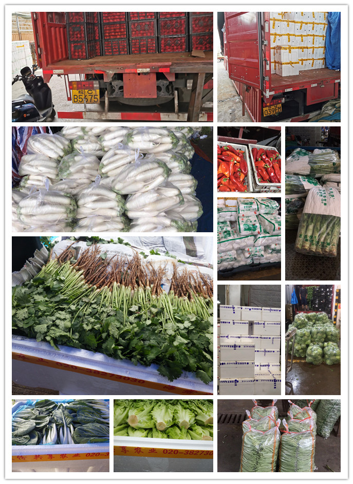 bti体育平台·(中国)官方网站