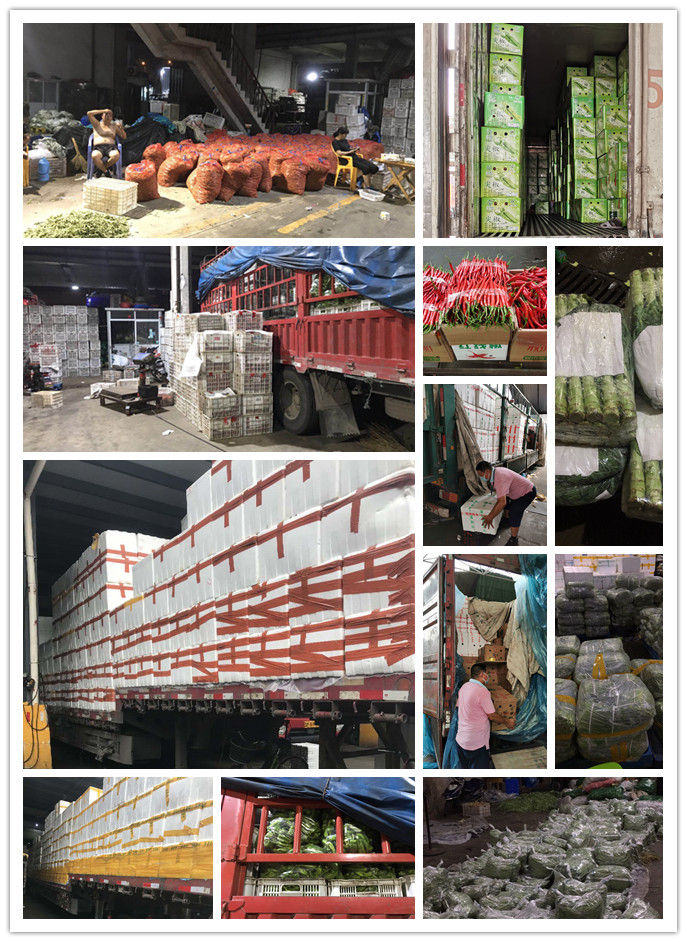 bti体育平台·(中国)官方网站