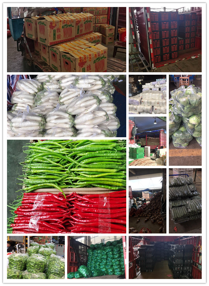 bti体育平台·(中国)官方网站