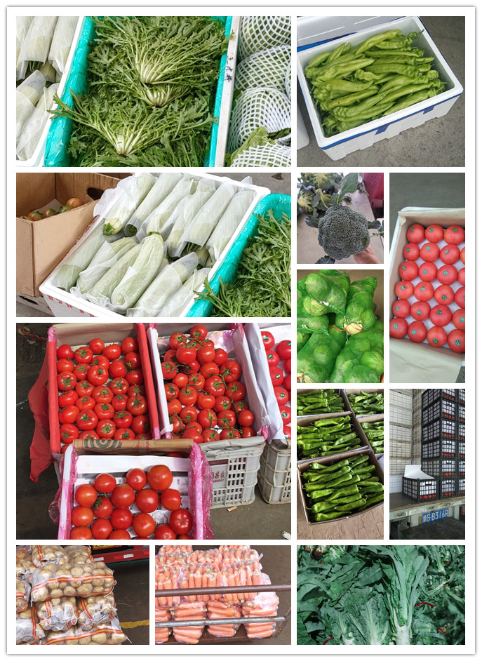 bti体育平台·(中国)官方网站