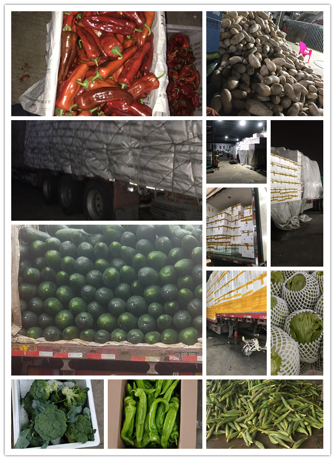 bti体育平台·(中国)官方网站