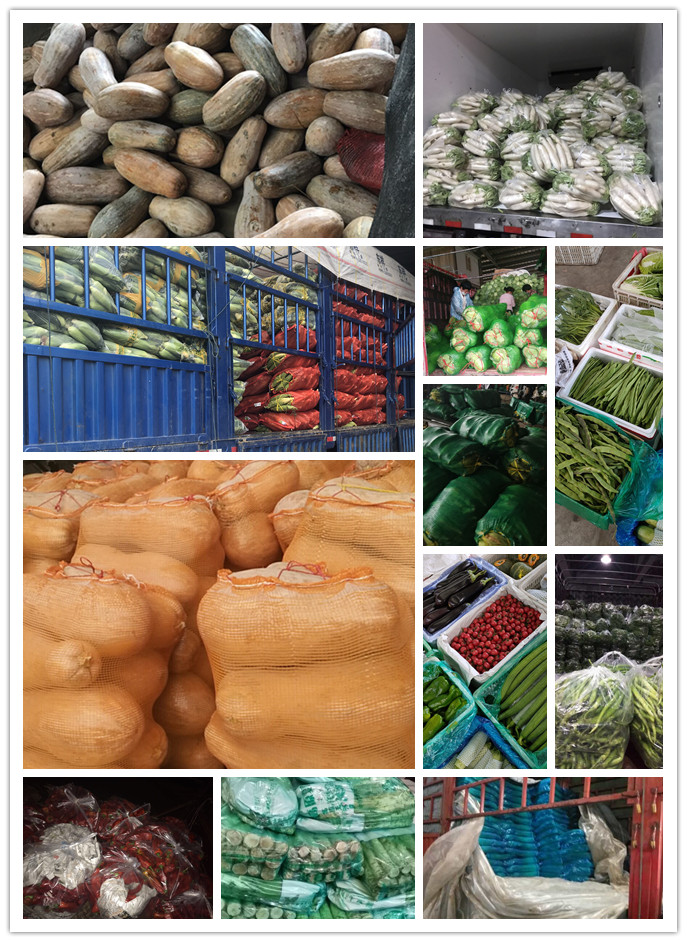 bti体育平台·(中国)官方网站