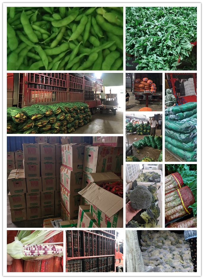 bti体育平台·(中国)官方网站