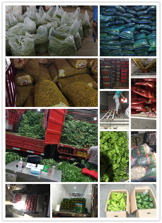 bti体育平台·(中国)官方网站