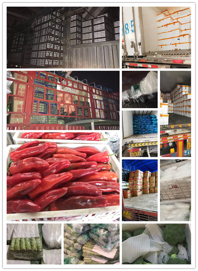 bti体育平台·(中国)官方网站