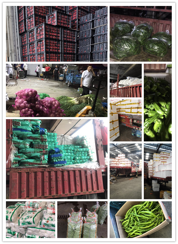 bti体育平台·(中国)官方网站