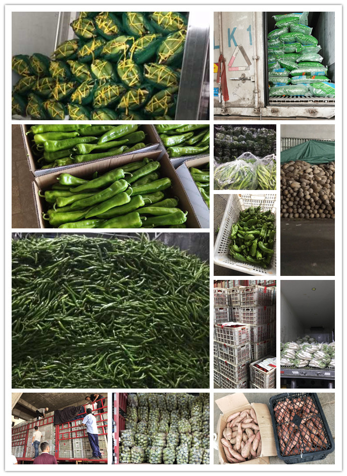 bti体育平台·(中国)官方网站