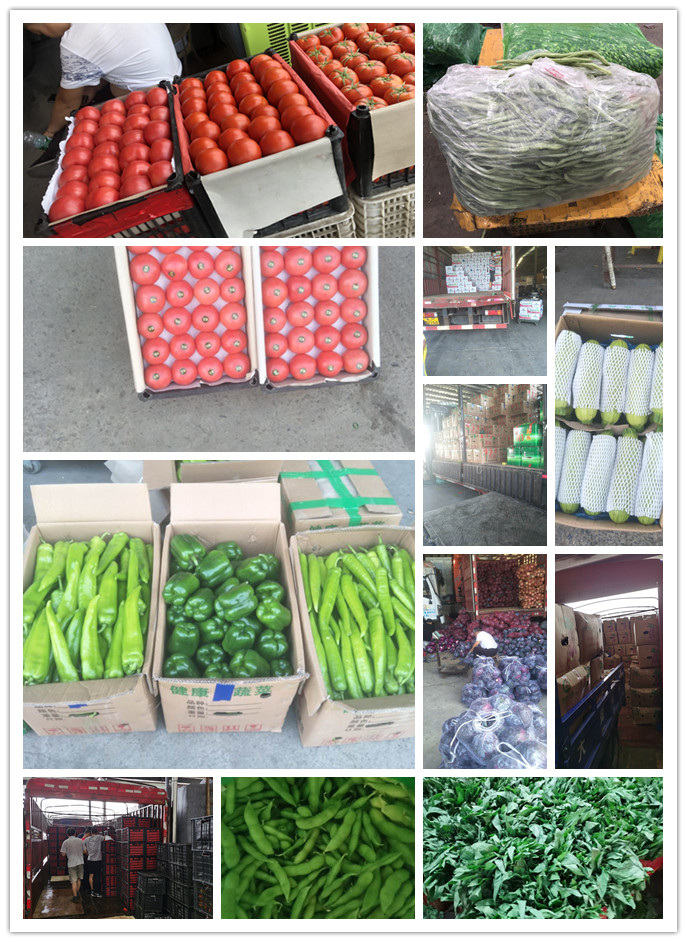 bti体育平台·(中国)官方网站