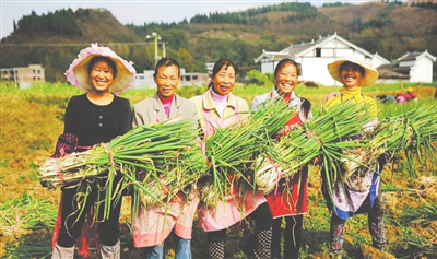 bti体育平台·(中国)官方网站